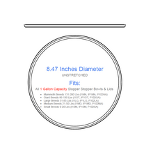 GASKETs for Lid - (Replacement Part)